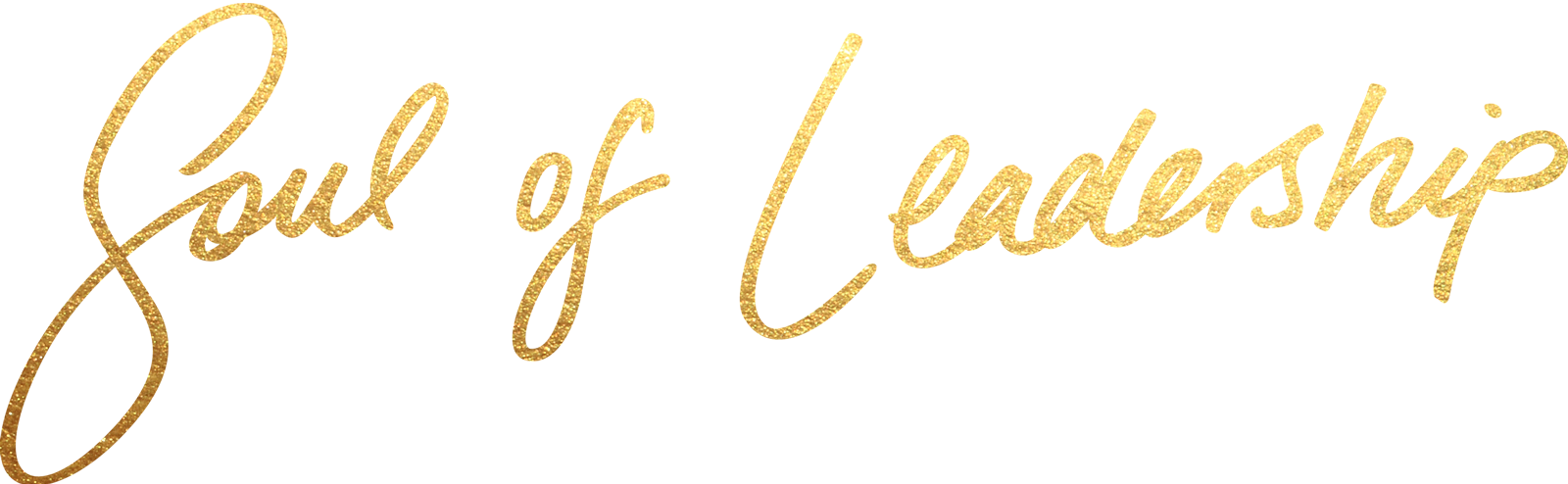 Soul of Leadership logo